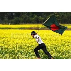 flag